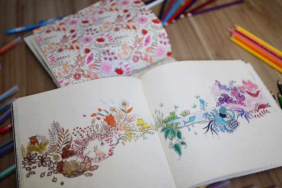 Livros de colorir para adultos + Jardim Secreto